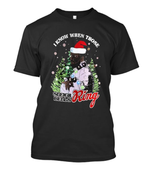I Know When Those Sleigh Bells Ring Happy Holiday Merry Christmas Drake T-Shirt