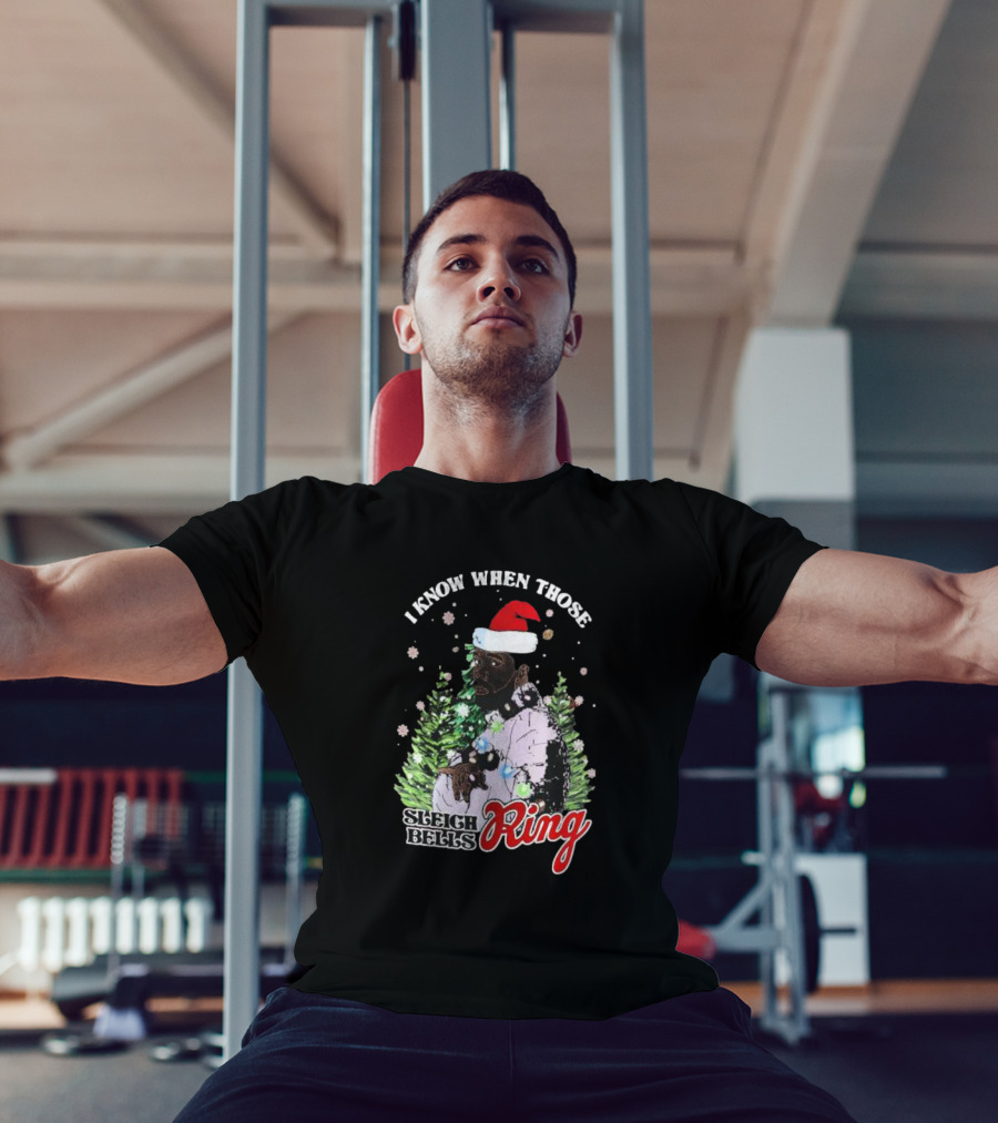 I Know When Those Sleigh Bells Ring Happy Holiday Merry Christmas Drake T-Shirt