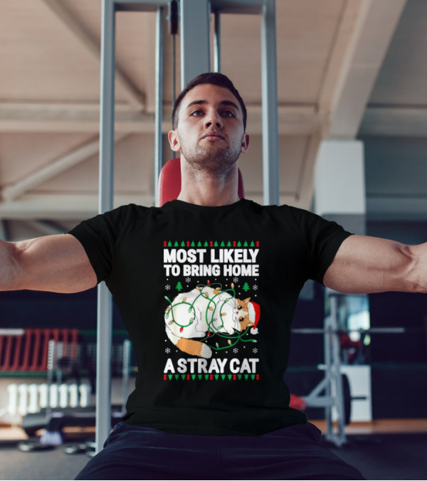 Most Likely To Bring Home A Stray Cat Christmas Lights Santa Hat Festive Holiday Cat T-Shirt
