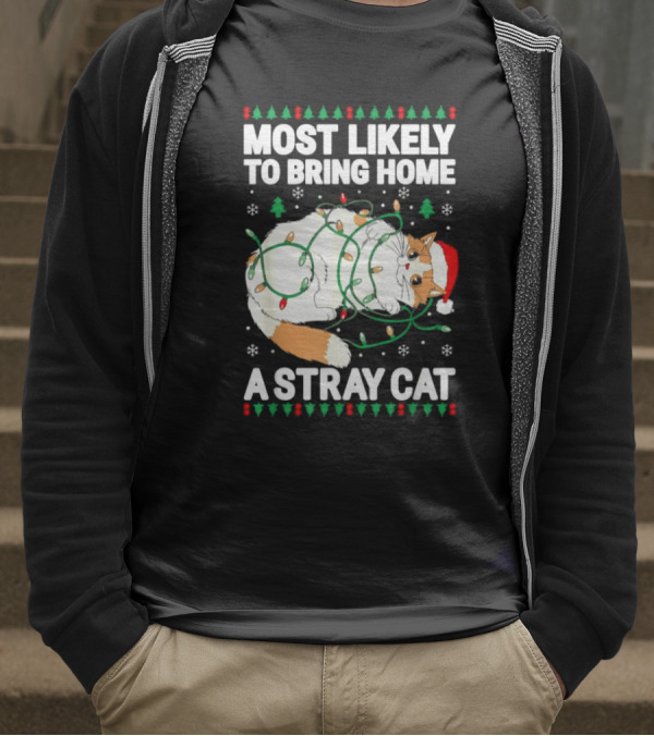 Most Likely To Bring Home A Stray Cat Christmas Lights Santa Hat Festive Holiday Cat T-Shirt