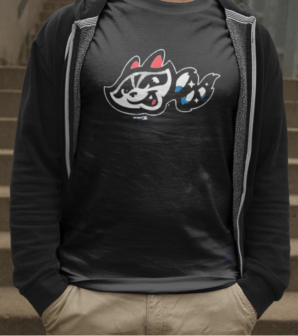 Rocket City Trash Pandas Raccoon Mascot Royal Home T-Shirt