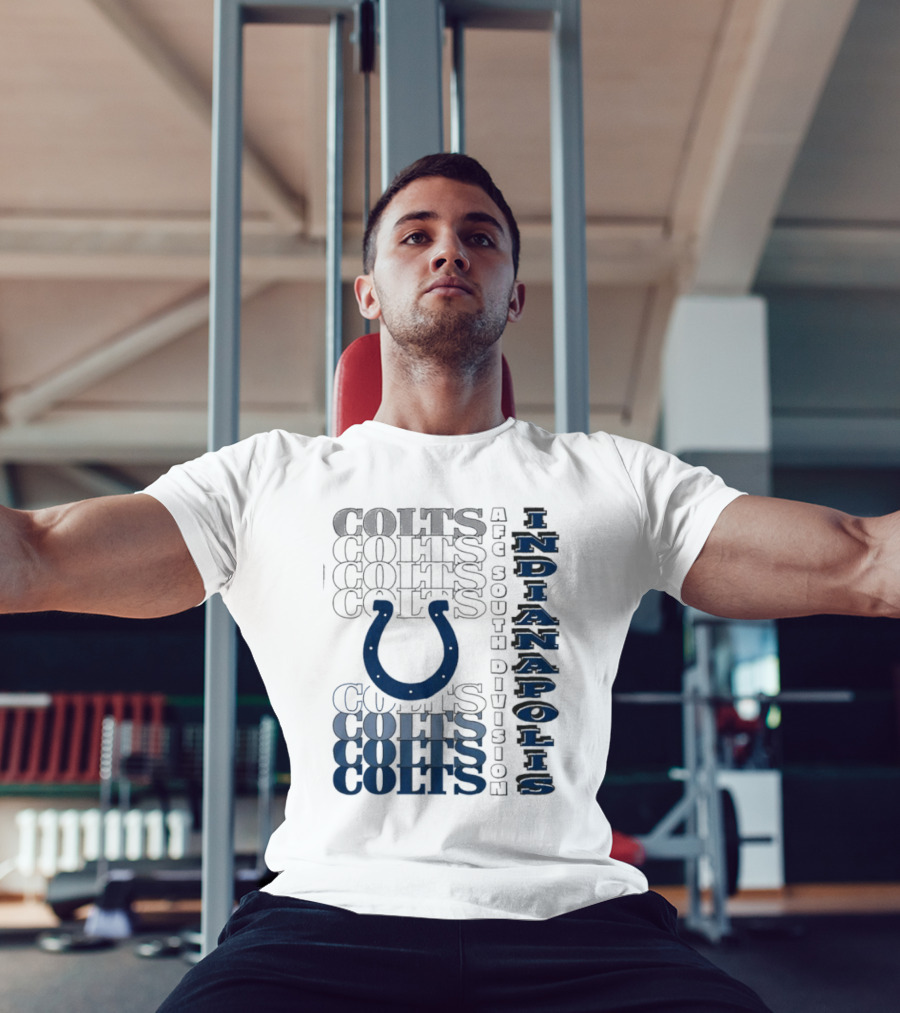 Indianapolis Colts AFC South Division Classic Colts Branding T-Shirt