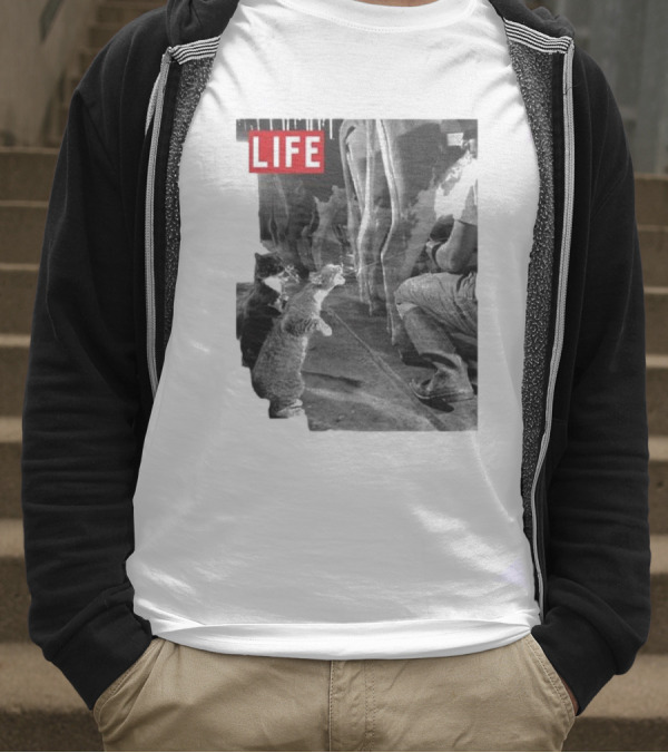 Life Magazine Cats Enjoying Fresh Milk T-Shirt