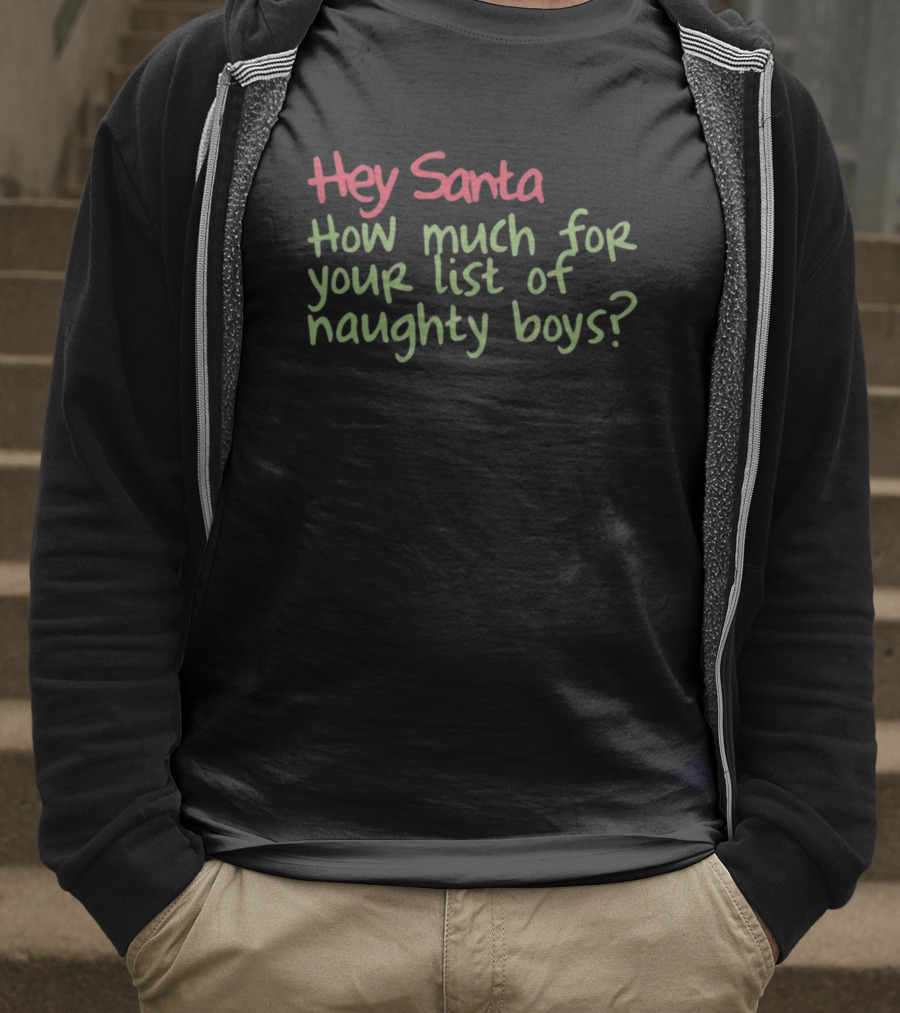 Hey Santa How Much For Your List Of Naughty Boys T-Shirt