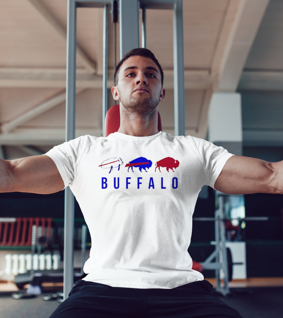 Buffalo Bills Evolution Vintage Retro Styles T-Shirt