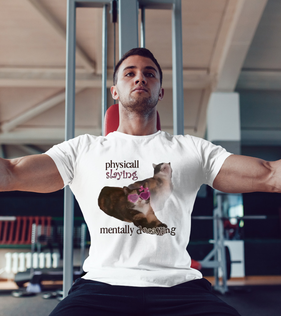 ```Snazzyseagull Physically Slaying Mentally Decaying Cat With Pink Heart Sunglasses``` T-Shirt
