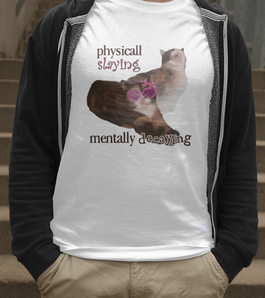```Snazzyseagull Physically Slaying Mentally Decaying Cat With Pink Heart Sunglasses``` T-Shirt