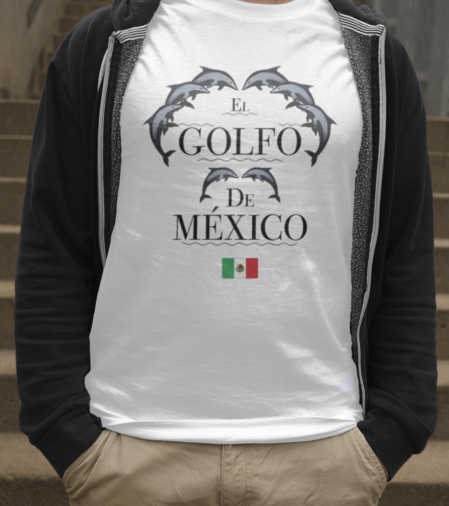 Golfo De México Dolphins Mexican Flag T-Shirt