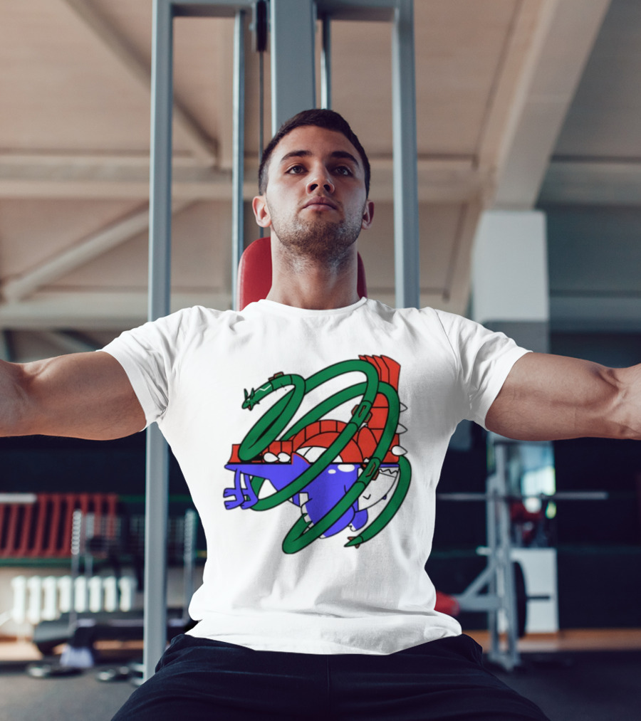 Groudon Kyogre Rayquaza Legendary Trio Icon T-Shirt