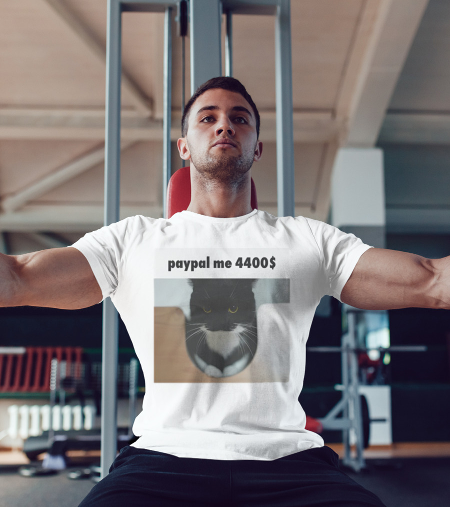 Paypal Me 4400$ Black Cat T-Shirt