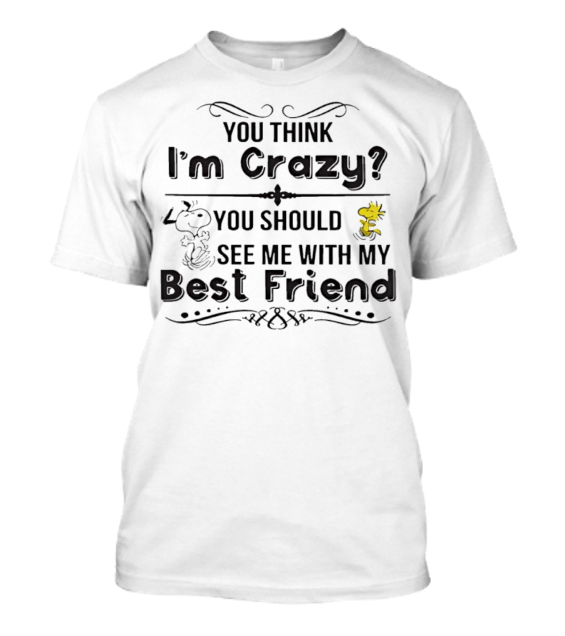 You Think I'm Crazy You Should See Me With My Best Friend Snoopy And Woodstock T-Shirt