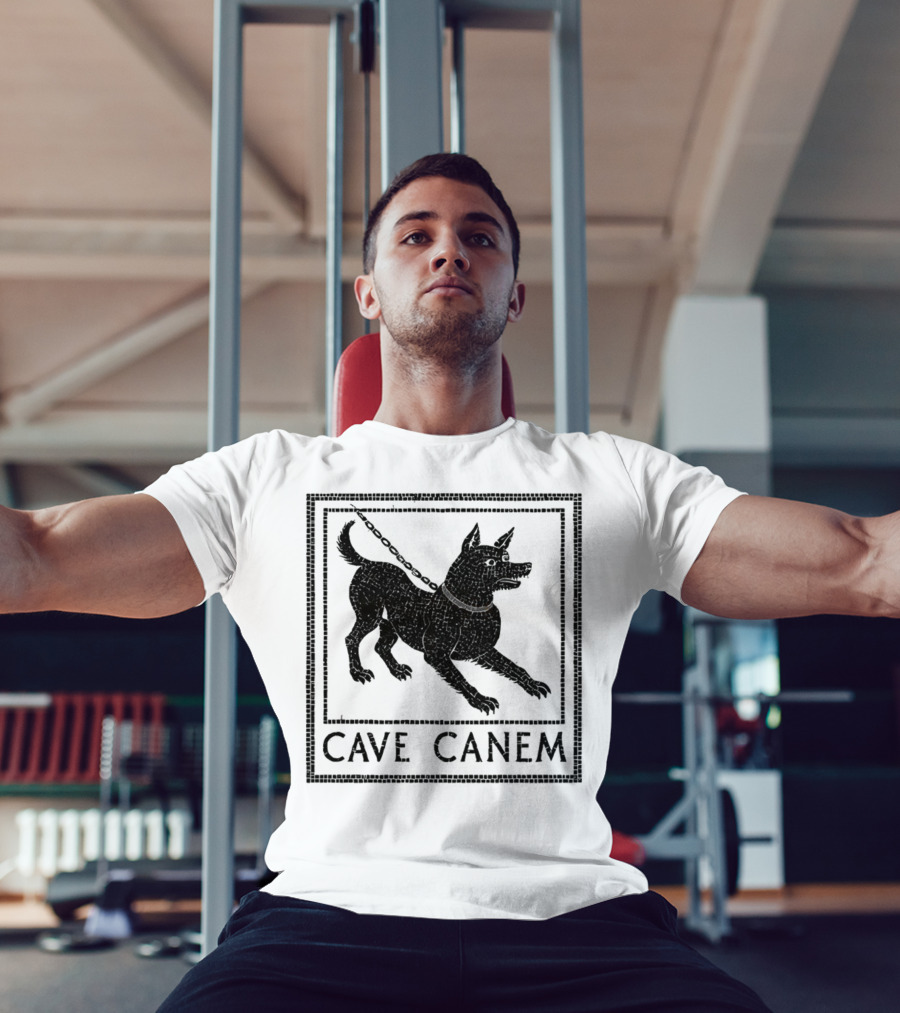 Cave Canem Ancient Pompeii Beware Of Dog Mosaic T-Shirt
