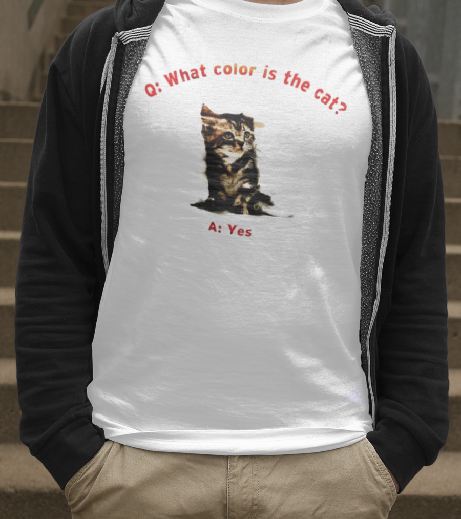 What Color Is The Cat Yes Kitten T-Shirt
