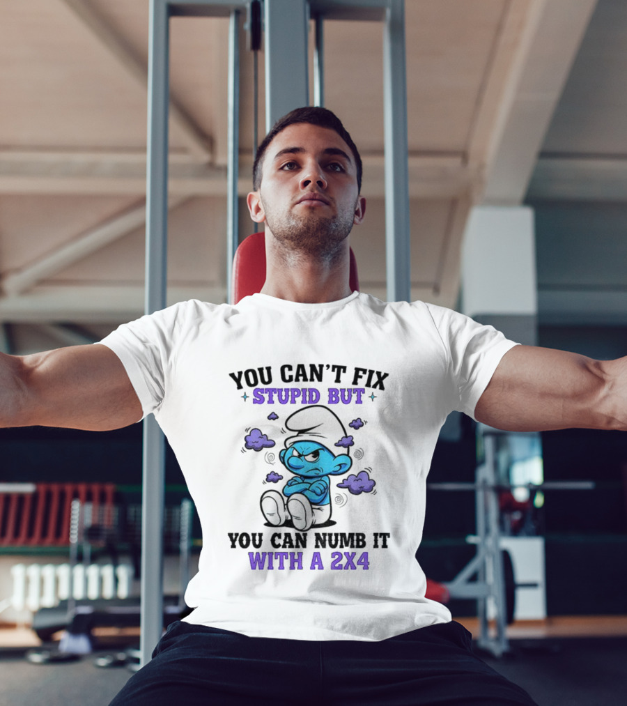 Angry Smurfs You Can't Fix Stupid But You Can Numb It With A 2x4 T-Shirt