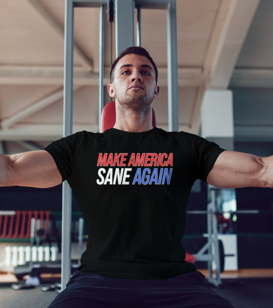 Duke Gomez Make America Sane Again Red White Blue Text T-Shirt