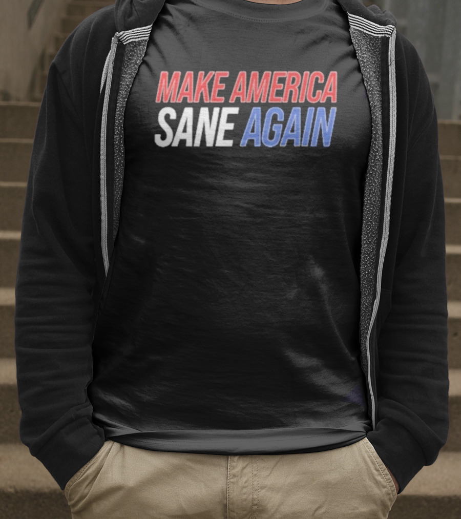 Duke Gomez Make America Sane Again Red White Blue Text T-Shirt