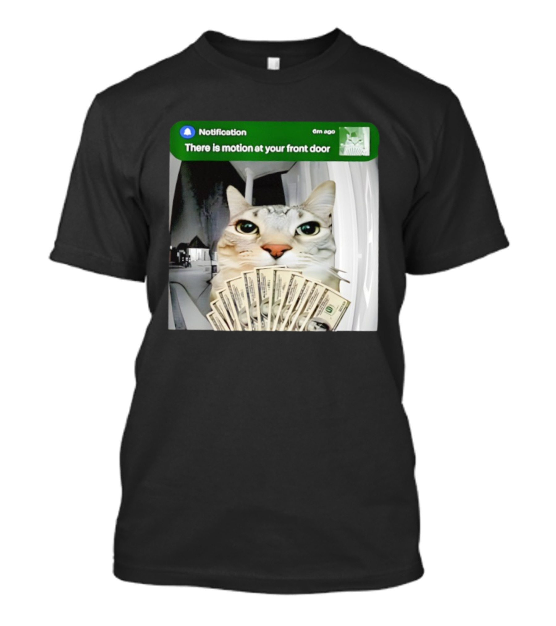 Notification Funny Cat Meme Motion At Your Front Door Money T-Shirt