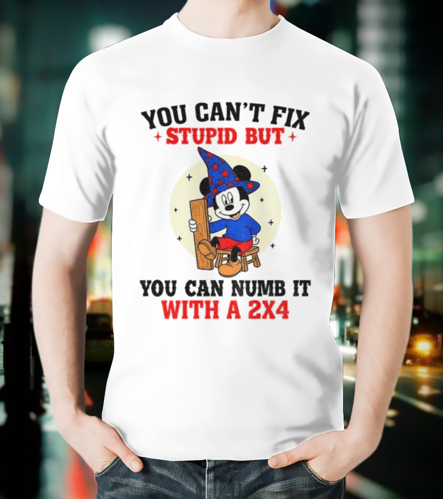 You Can't Fix Stupid But You Can Numb It With A 2x4 Mickey Witch T-Shirt