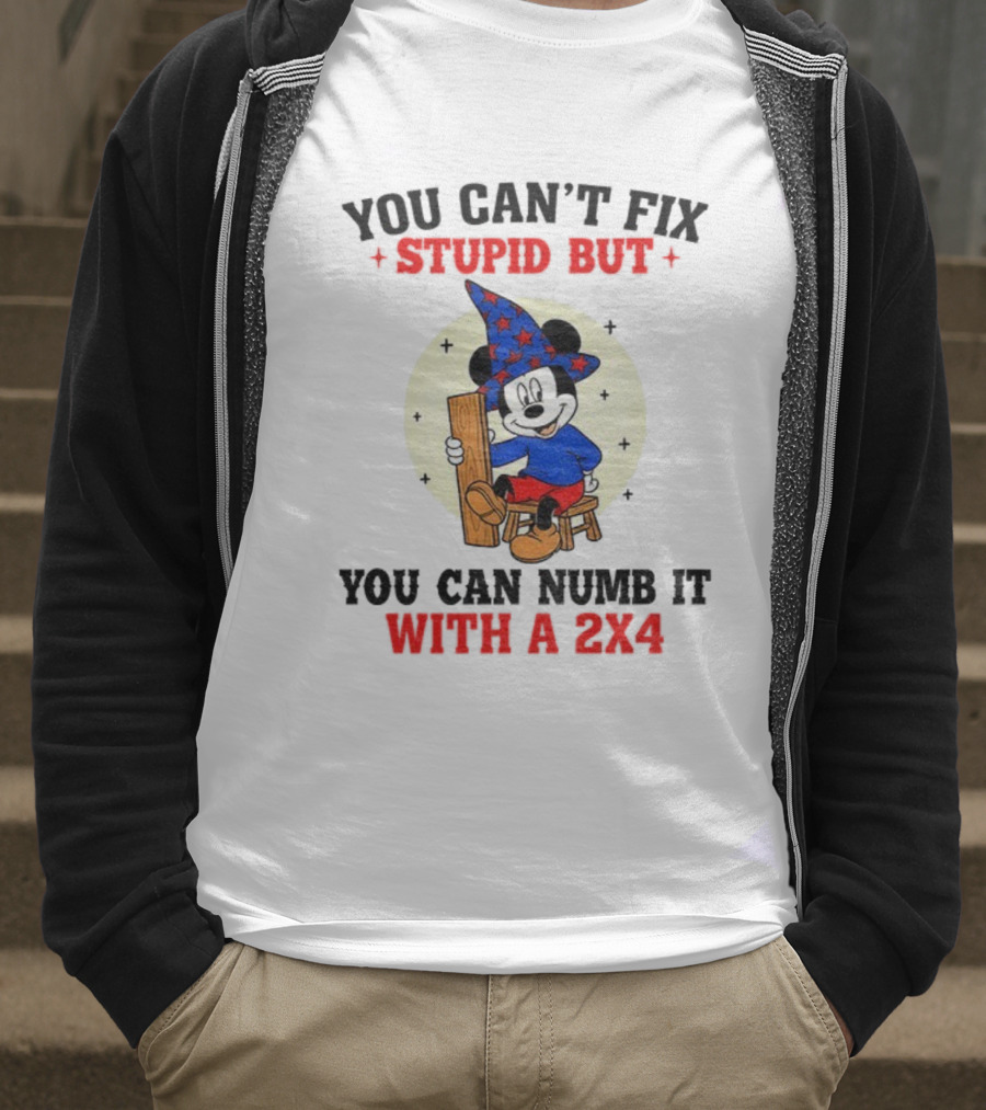 You Can't Fix Stupid But You Can Numb It With A 2x4 Mickey Witch T-Shirt