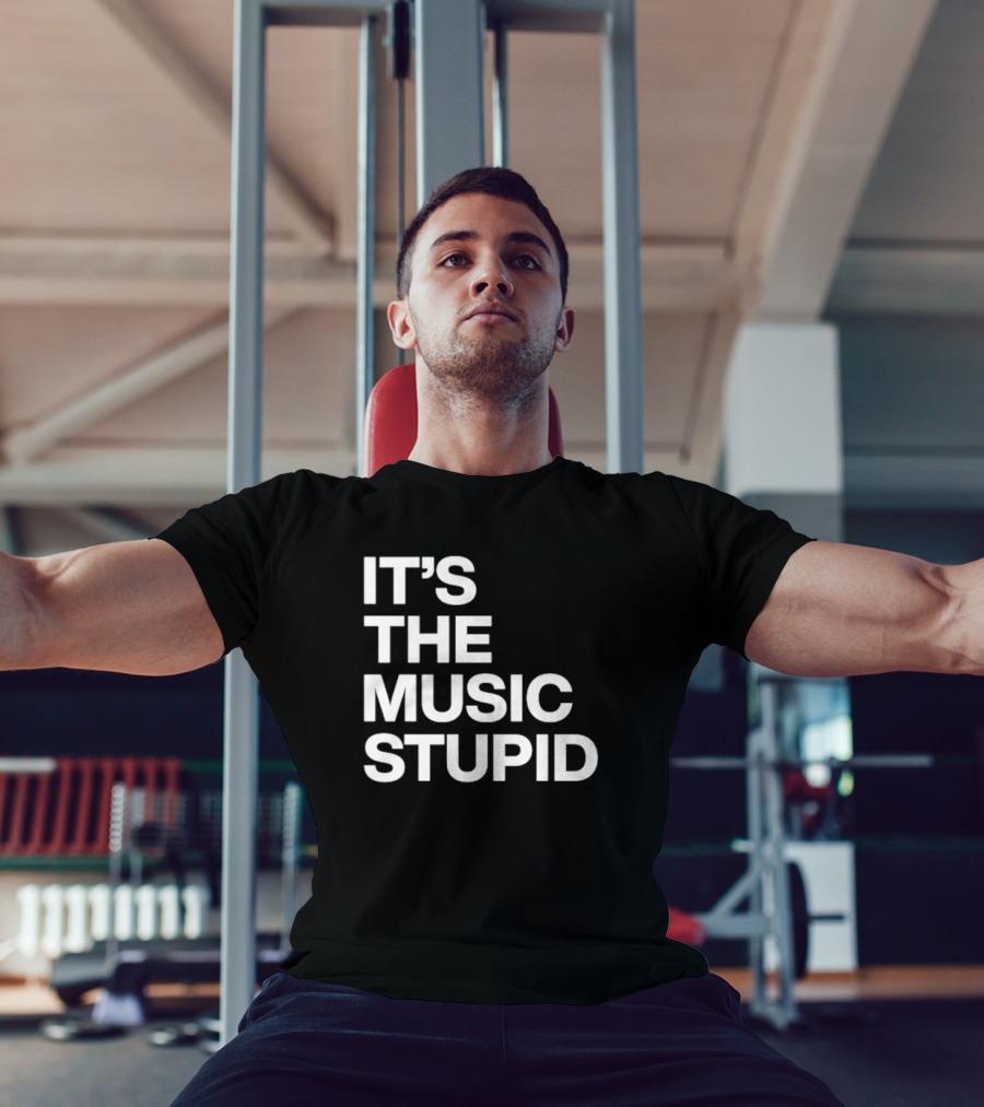 IT'S THE MUSIC STUPID T-Shirt