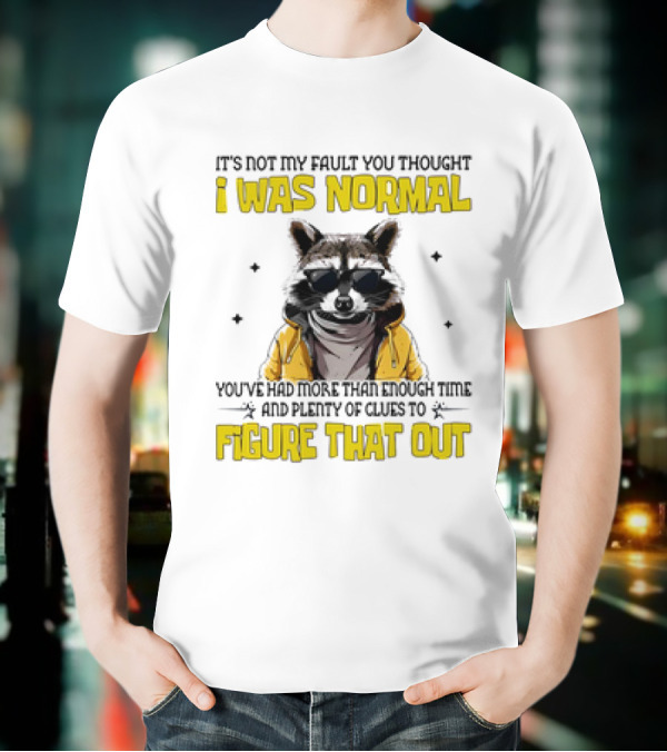 Raccoon It's Not My Fault You Thought I Was Normal You've Had More Than Enough Time And Plenty Of Clues To Figure That Out T-Shirt