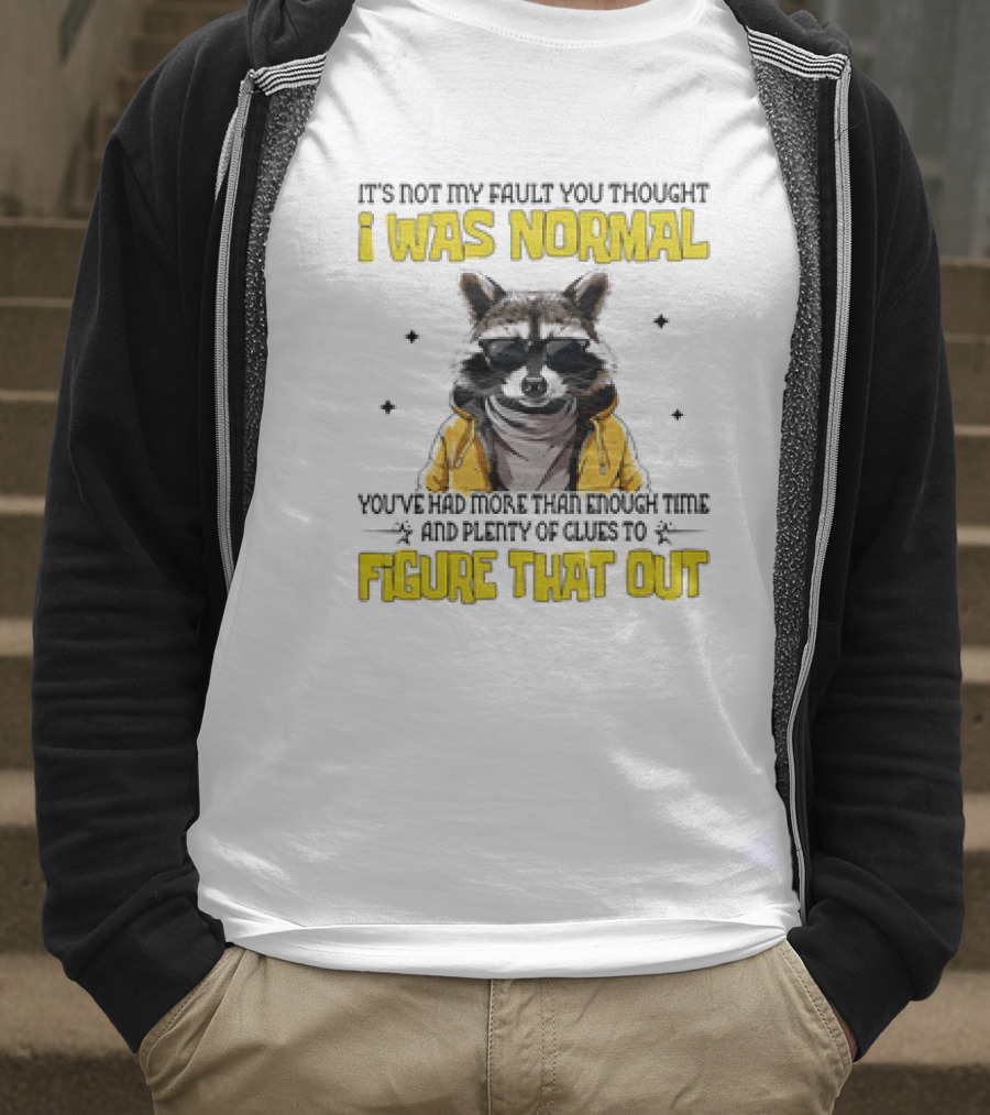 Raccoon It's Not My Fault You Thought I Was Normal You've Had More Than Enough Time And Plenty Of Clues To Figure That Out T-Shirt