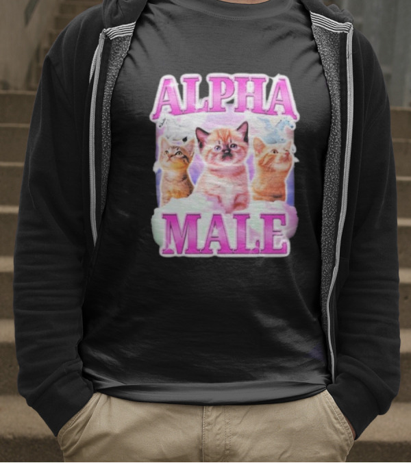 Alpha Male Cat Trio With Rainbow Unicorns And Clouds T-Shirt