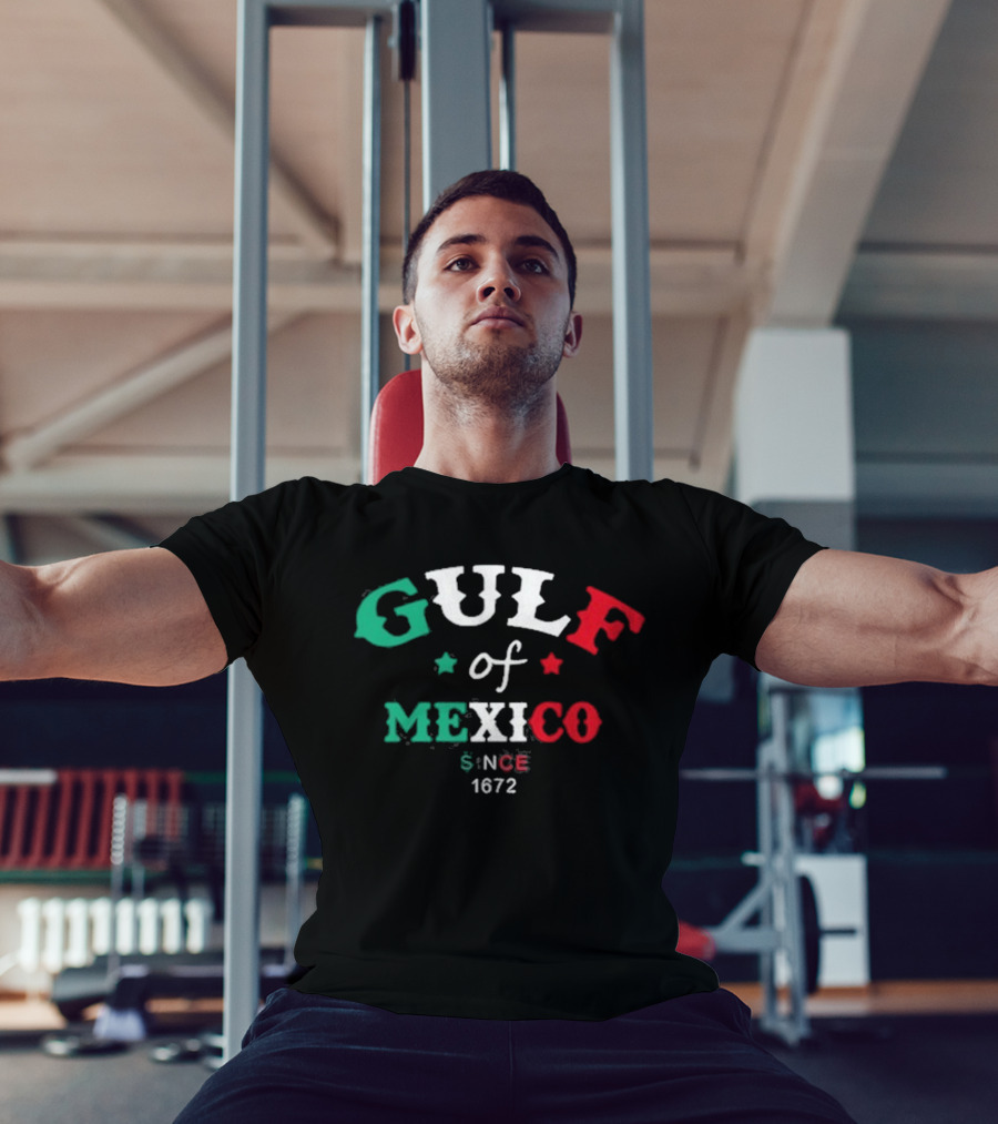 Gulf Of Mexico America T-Shirt