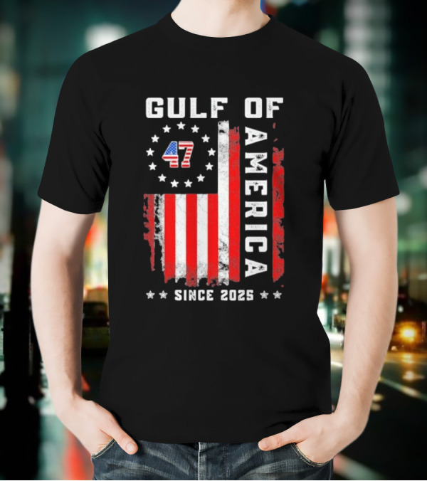 Gulf Of USA America Vintage USA Flag Grunged 2025 T-Shirt