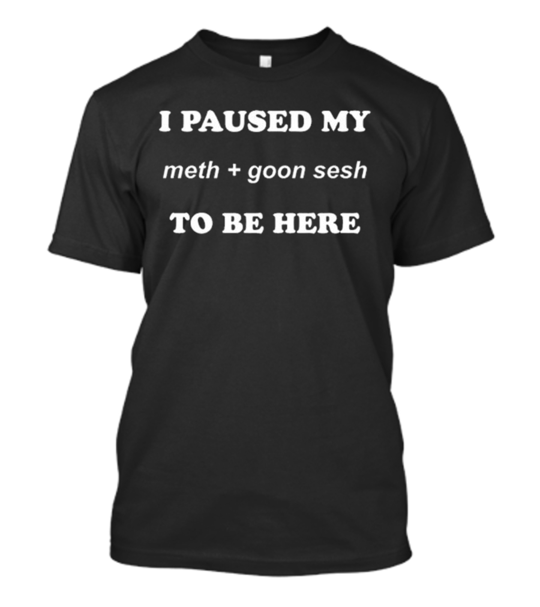 I Paused My Meth And Goon Sesh To Be Here T-Shirt