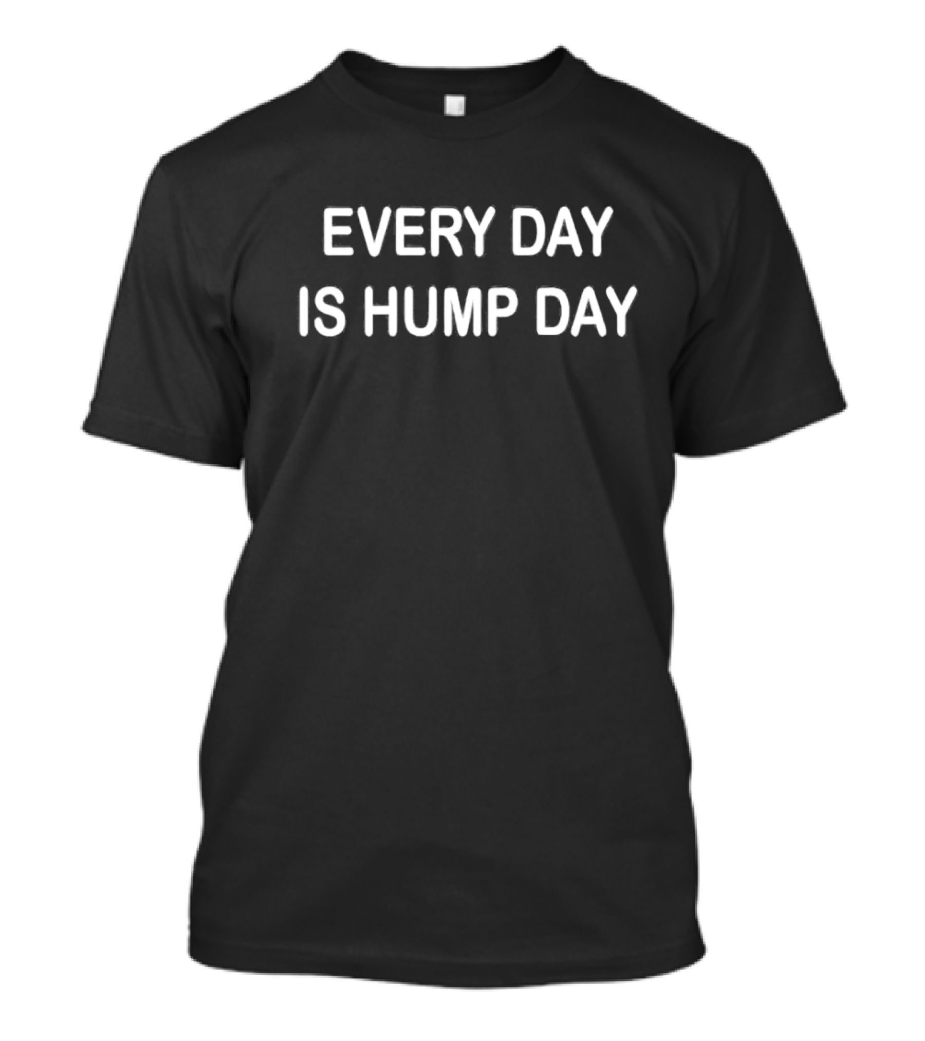 EVERY DAY IS HUMP DAY Fun Casual Phrase T-Shirt