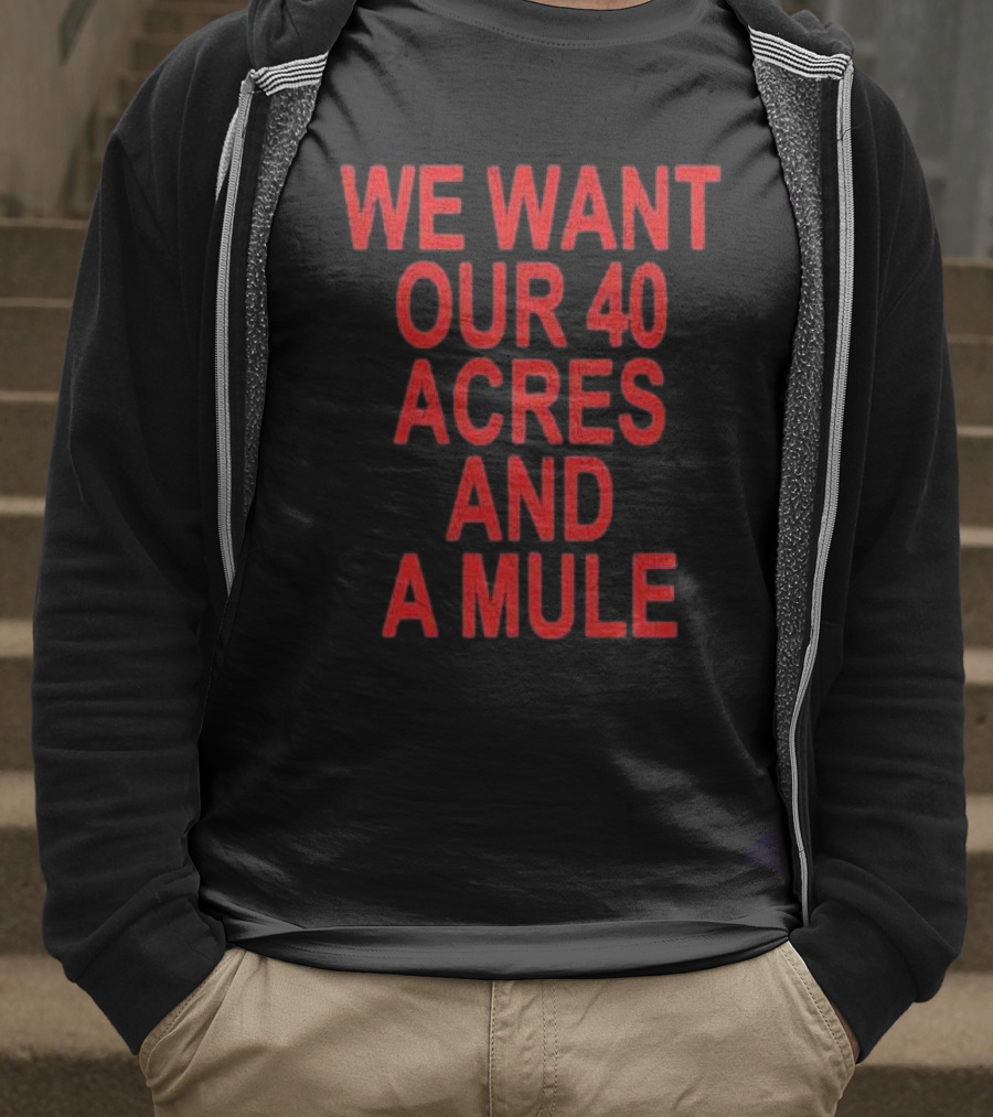 Spike Lee We Want Our 40 Acres And A Mule T-Shirt