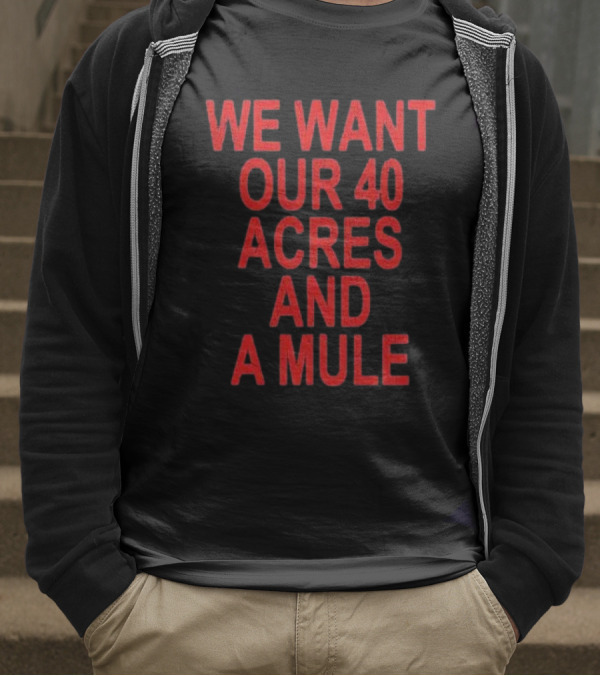 Spike Lee We Want Our 40 Acres And A Mule T-Shirt