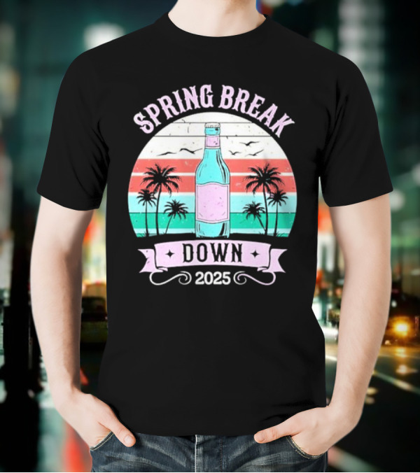 Spring Break Down 2025 Bottle Palms Retro Stripes Vintage Vibe T-Shirt