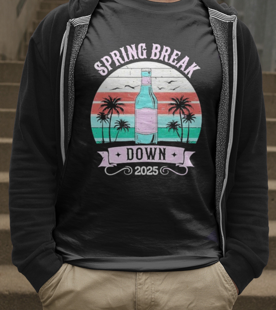 Spring Break Down 2025 Bottle Palms Retro Stripes Vintage Vibe T-Shirt