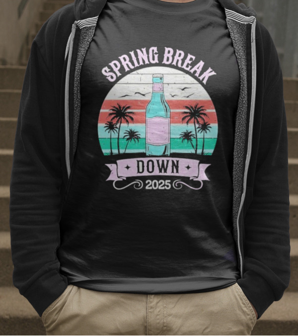 Spring Break Down 2025 Bottle Palms Retro Stripes Vintage Vibe T-Shirt