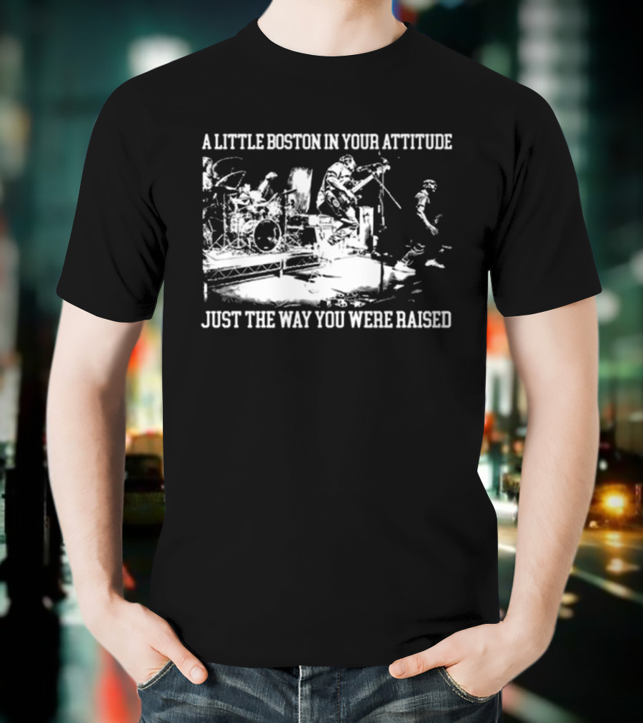 A Little Boston In Your Attitude Just The Way You Were Raised The Menzingers T-Shirt