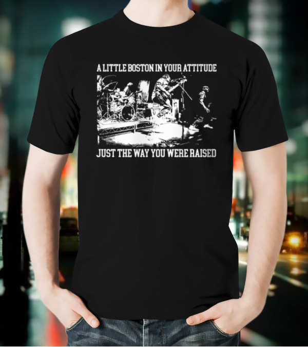 A Little Boston In Your Attitude Just The Way You Were Raised The Menzingers T-Shirt