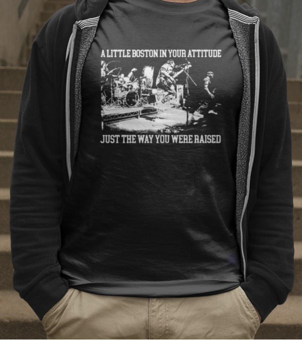 A Little Boston In Your Attitude Just The Way You Were Raised The Menzingers T-Shirt