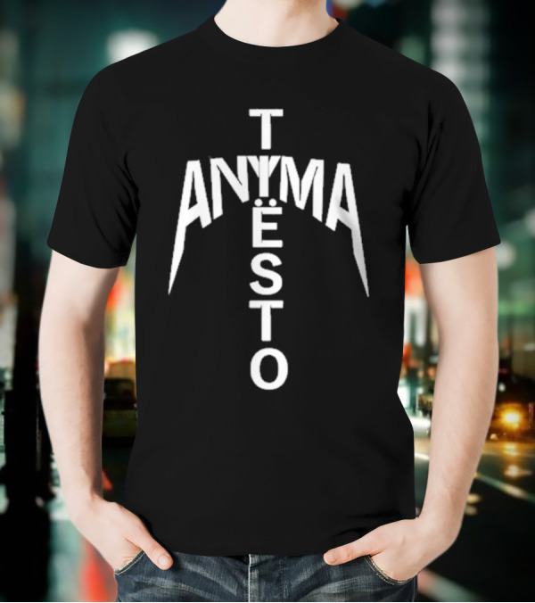 We Rave You Anyma Tiësto Typography Style T-Shirt
